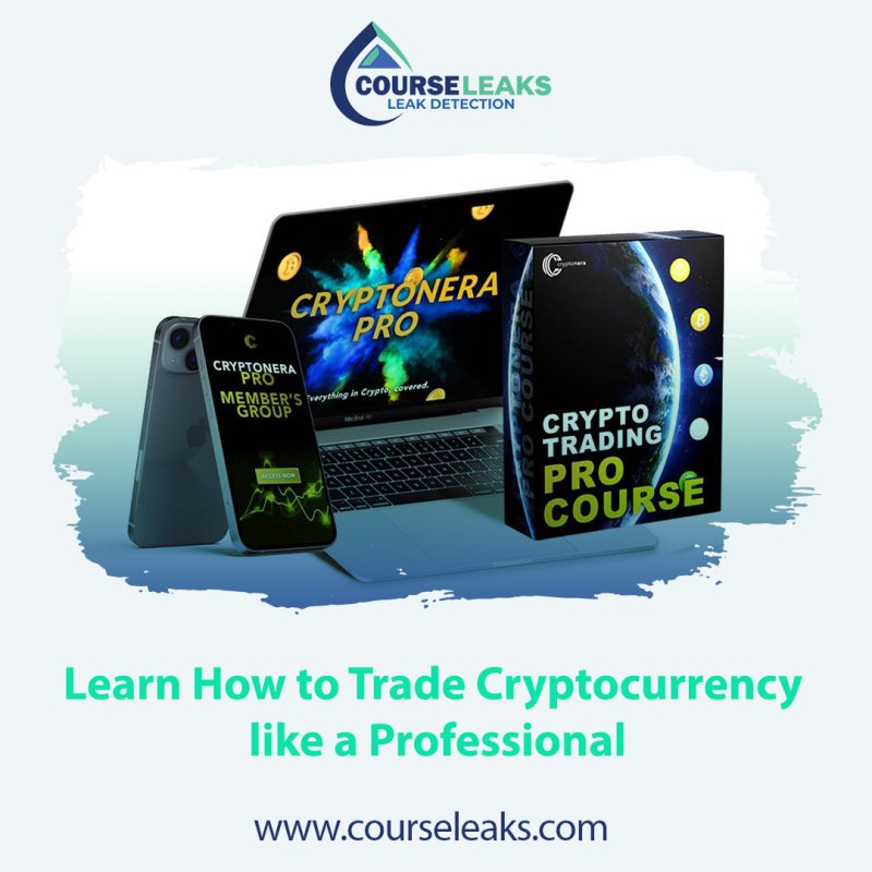 Learn How to Trade Cryptocurrency like a Professional
