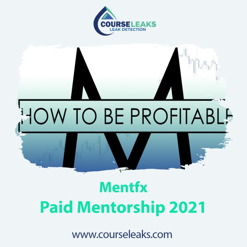Paid Mentorship 2021