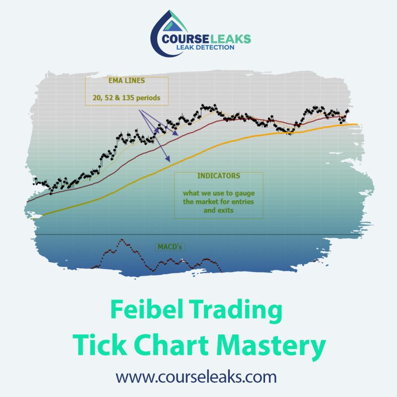 Tick Chart Mastery