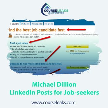 Michael Dillion – LinkedIn Posts for Job-seekers